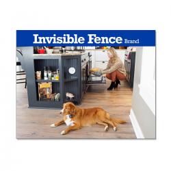 Invisible Fence Banner Kitchen