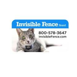 Invisible Fence®  Business Card Magnet 2' x 3.5' - Full Color