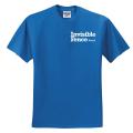 Adult 5.6 oz., Short-Sleeve T-Shirt Royal Large